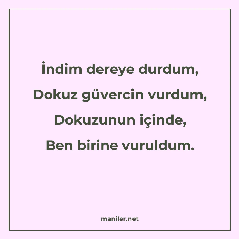 İndim dereye durdum, Dokuz güvercin vurdum, Dokuzunun içinde manisi görseli