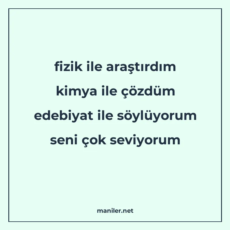 fizik ile araştırdım kimya ile çözdüm edebiyat ile söylüyoru manisi görseli