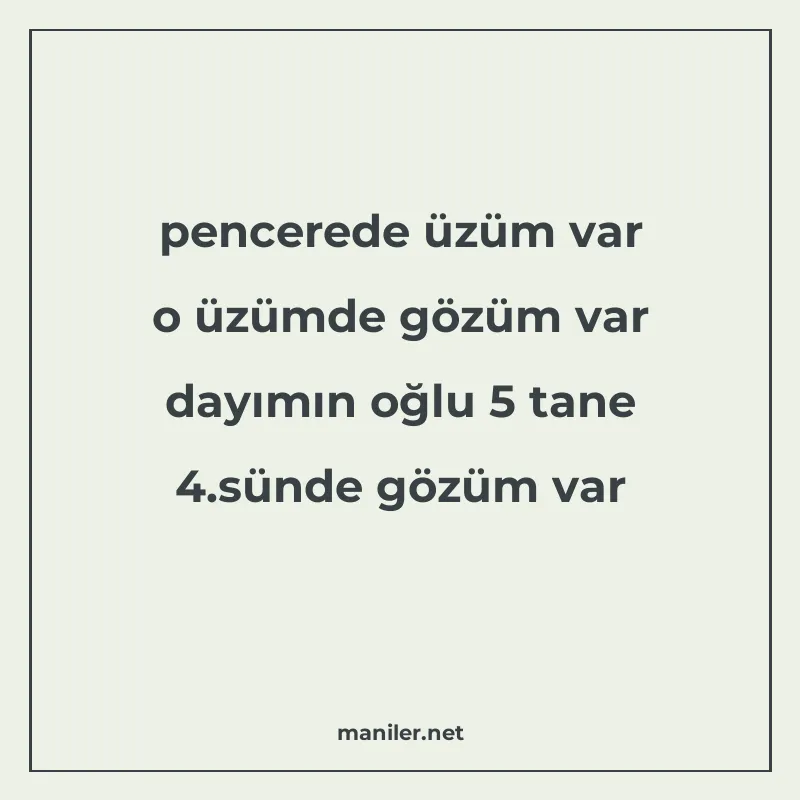 pencerede üzüm var o üzümde gözüm var dayımın oğlu 5 tane 4 manisi görseli