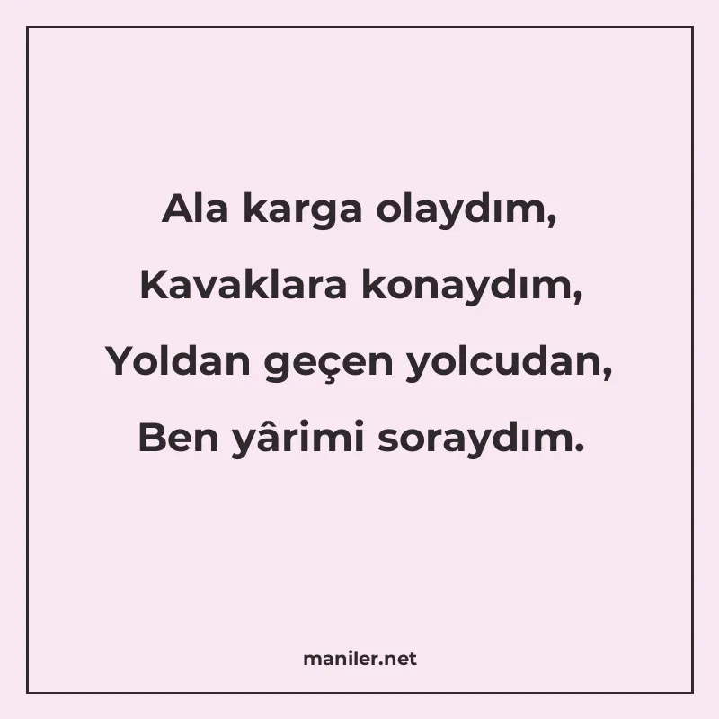 Ala karga olaydım, Kavaklara konaydım, Yoldan geçen yolcudan manisi görseli