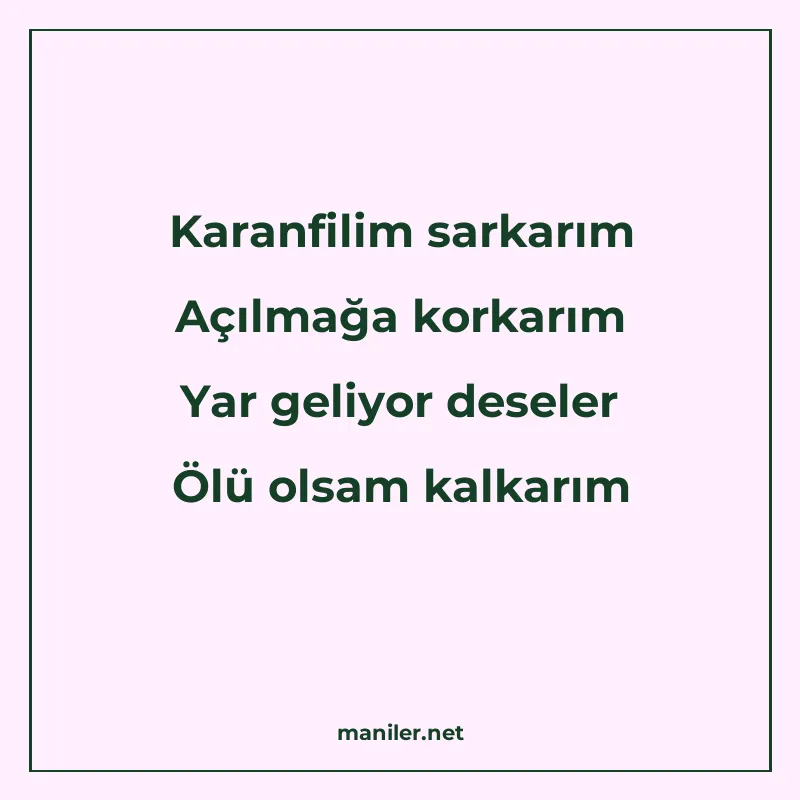 Karanfilim sarkarım Açılmağa korkarım Yar geliyor deseler Öl manisi görseli