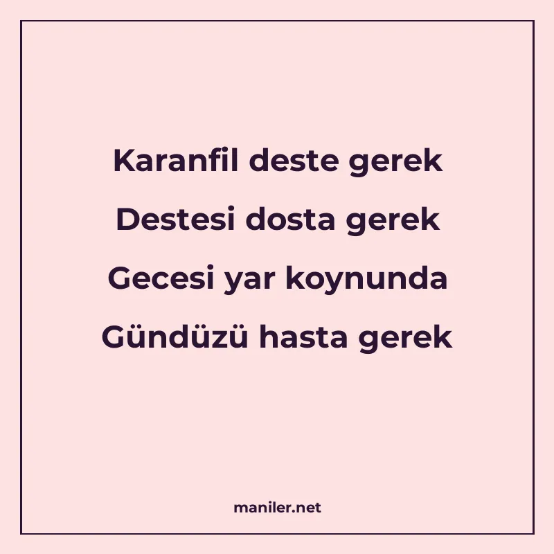 Karanfil deste gerek Destesi dosta gerek Gecesi yar koynunda manisi görseli