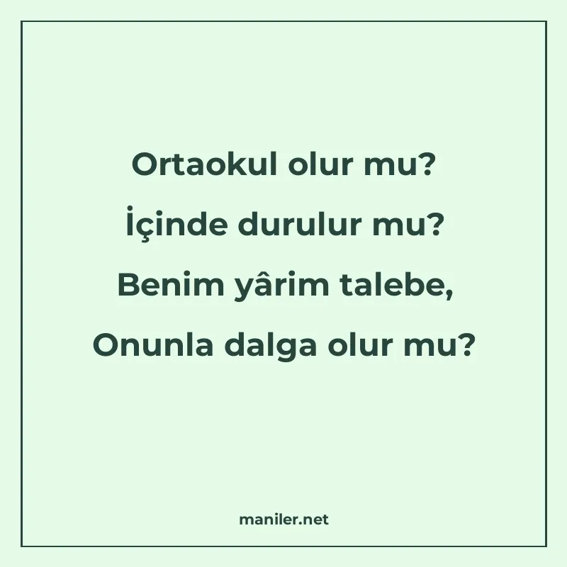 Ortaokul olur mu? İçinde durulur mu? Benim yârim talebe, Onu manisi görseli