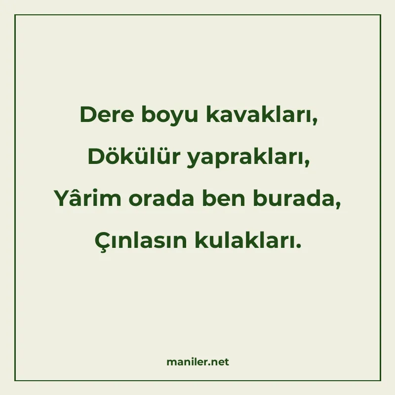 Dere boyu kavakları, Dökülür yaprakları, Yârim orada ben bur manisi görseli