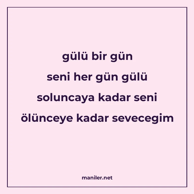 gülü bir gün seni her gün gülü soluncaya kadar seni ölünceye manisi görseli