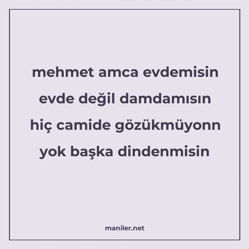 mehmet amca evdemisin evde değil damdamısın hiç camide gözük manisi görseli