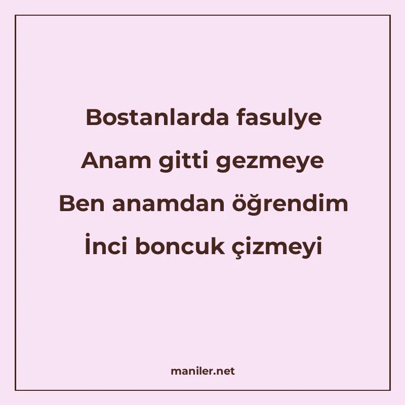 Bostanlarda fasulye Anam gitti gezmeye Ben anamdan öğrendim manisi görseli