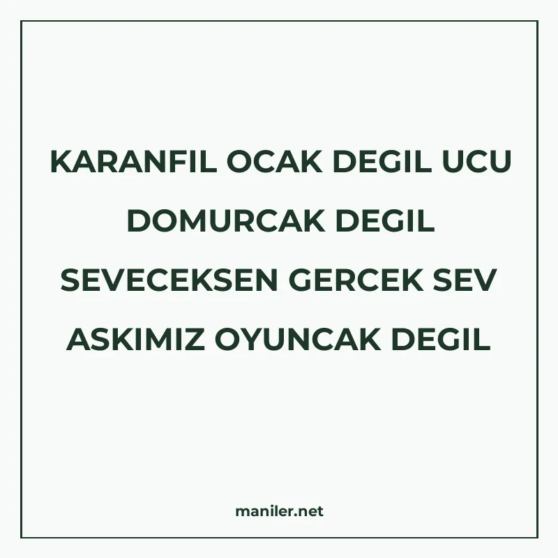 KARANFIL OCAK DEGIL UCU DOMURCAK DEGIL SEVECEKSEN GERCEK SEV manisi görseli