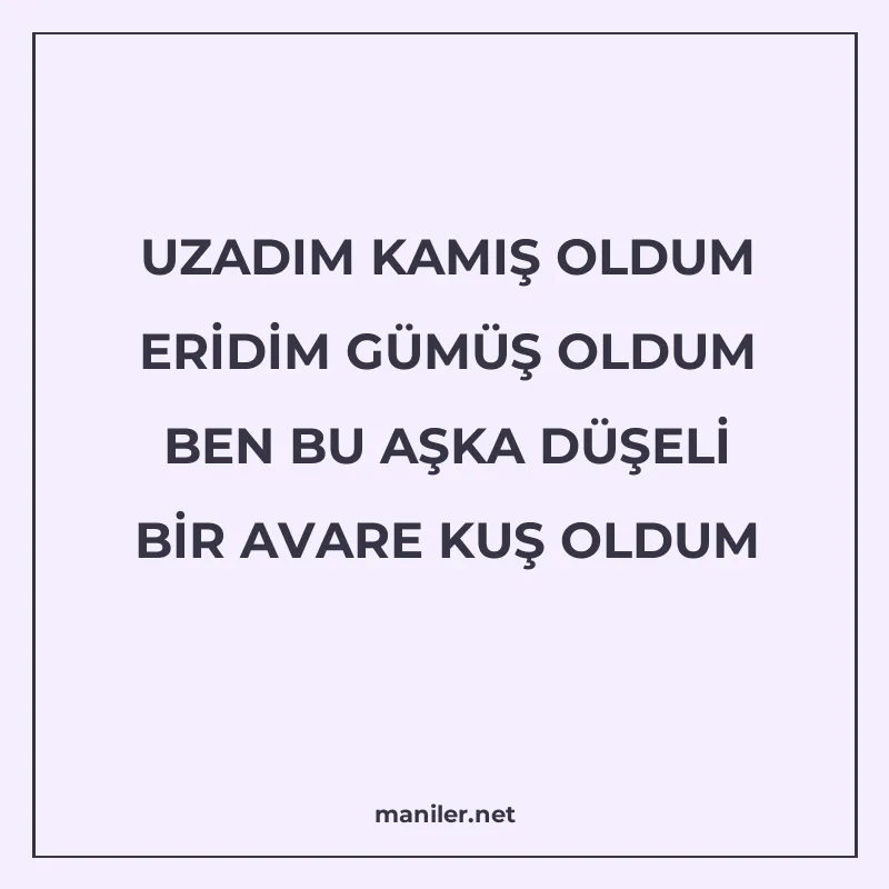 UZADIM KAMIŞ OLDUM ERİDİM GÜMÜŞ OLDUM BEN BU AŞKA DÜŞELİ BİR manisi görseli