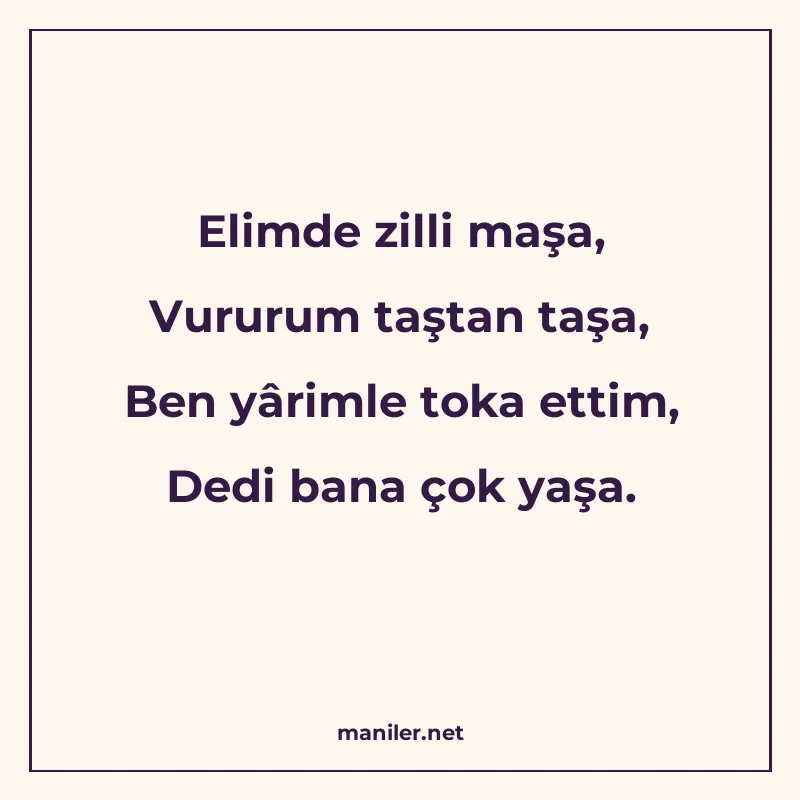 Elimde zilli maşa, Vururum taştan taşa, Ben yârimle toka ett manisi görseli