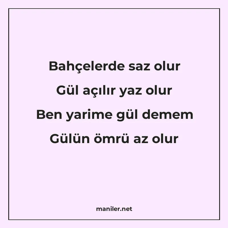 Bahçelerde saz olur Gül açılır yaz olur Ben yarime gül demem manisi görseli