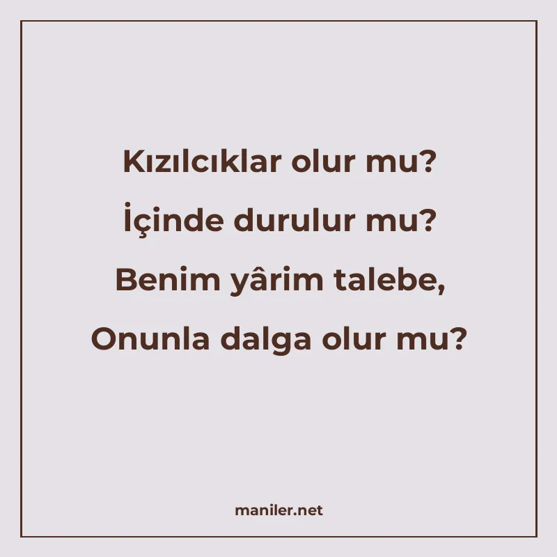 Kızılcıklar olur mu? İçinde durulur mu? Benim yârim talebe manisi görseli