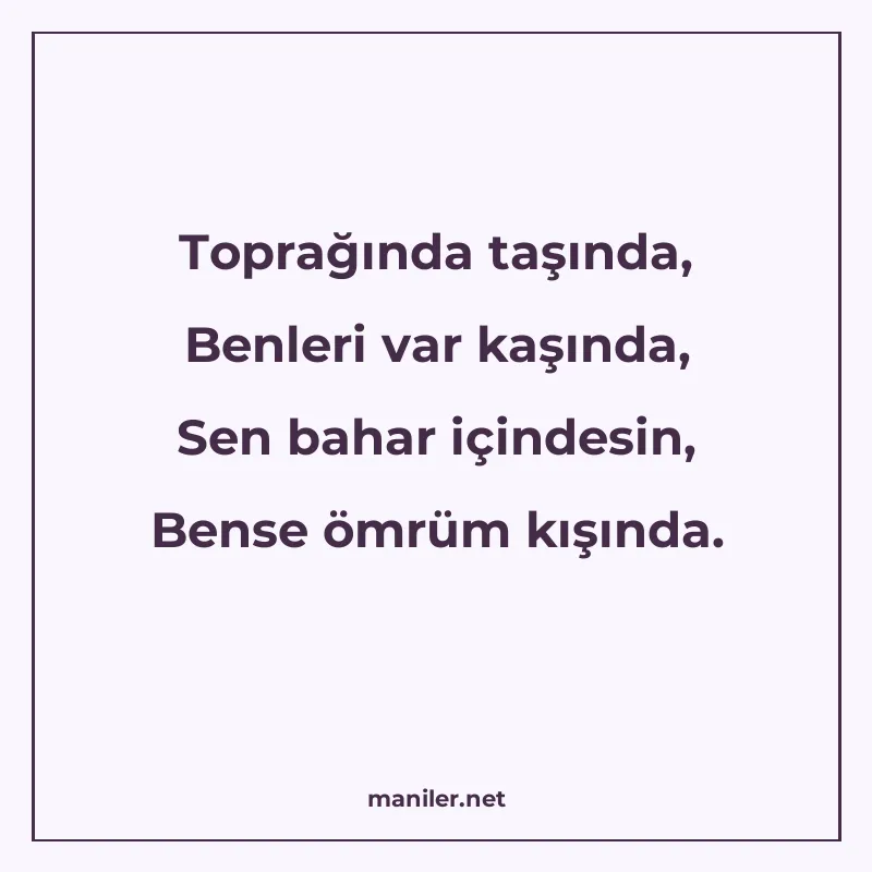 Toprağında taşında, Benleri var kaşında, Sen bahar içindesin manisi görseli