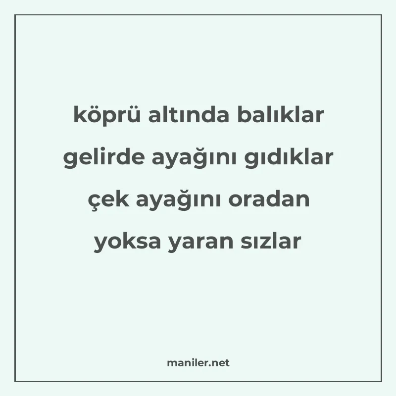 köprü altında balıklar gelirde ayağını gıdıklar çek ayağını manisi görseli