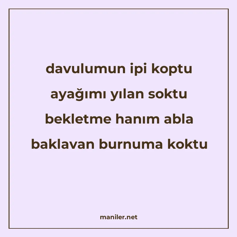 davulumun ipi koptu ayağımı yılan soktu bekletme hanım abla manisi görseli