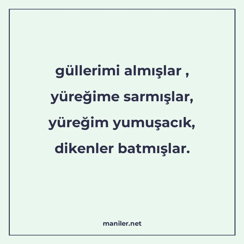 güllerimi almışlar , yüreğime sarmışlar, yüreğim yumuşacık manisi görseli