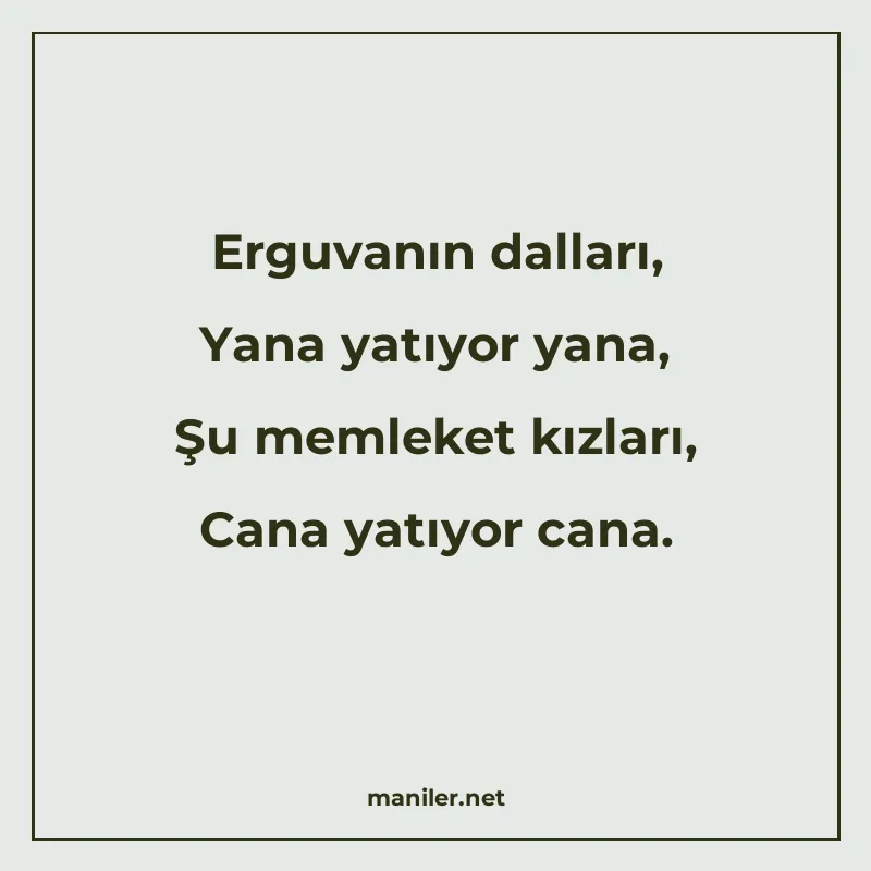 Erguvanın dalları, Yana yatıyor yana, Şu memleket kızları, C manisi görseli