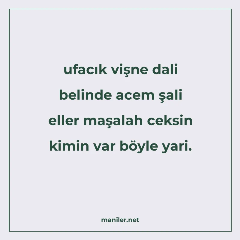ufacık vişne dali belinde acem şali eller maşalah ceksin kim manisi görseli