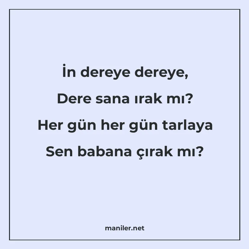 İn dereye dereye, Dere sana ırak mı? Her gün her gün tarlaya manisi görseli