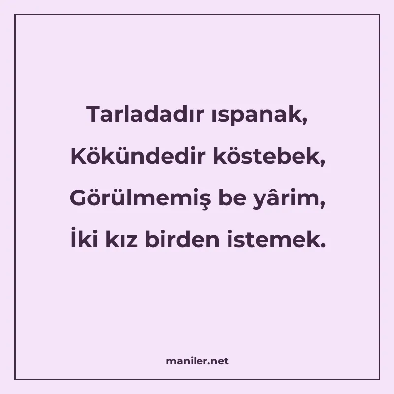 Tarladadır ıspanak, Kökündedir köstebek, Görülmemiş be yârim manisi görseli