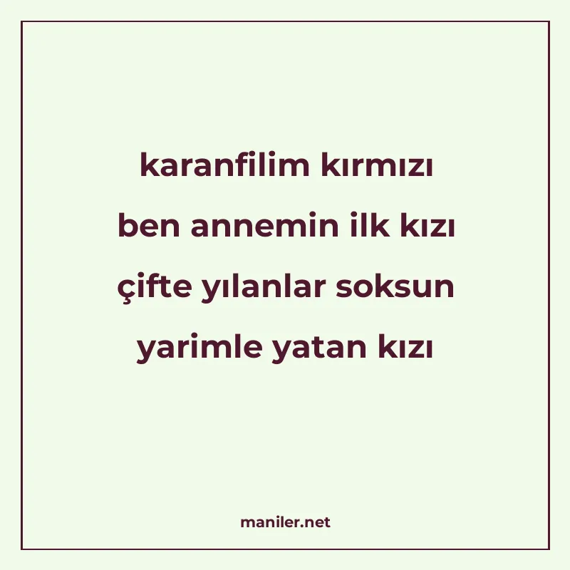 karanfilim kırmızı ben annemin ilk kızı çifte yılanlar soksu manisi görseli