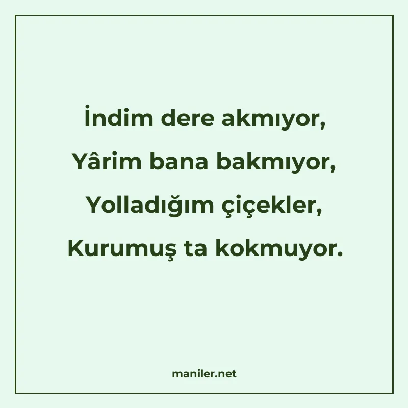 İndim dere akmıyor, Yârim bana bakmıyor, Yolladığım çiçekler manisi görseli