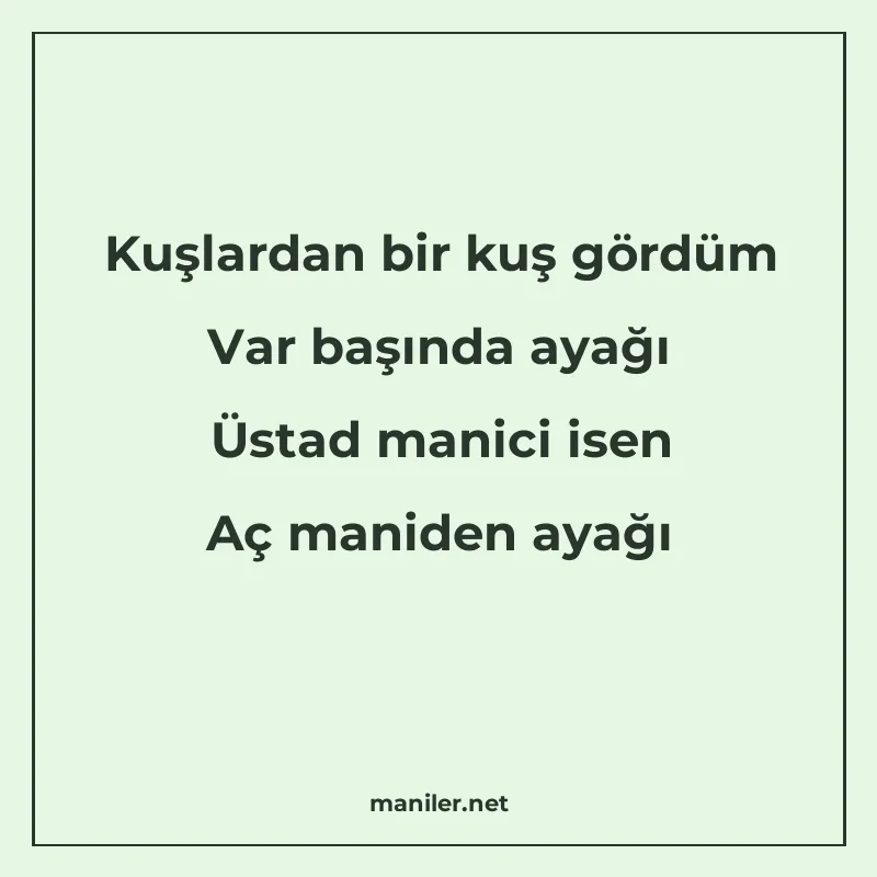 Kuşlardan bir kuş gördüm Var başında ayağı Üstad manici isen manisi görseli