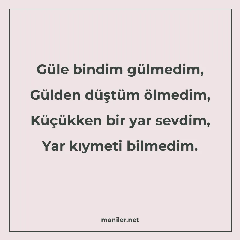 Güle bindim gülmedim, Gülden düştüm ölmedim, Küçükken bir ya manisi görseli