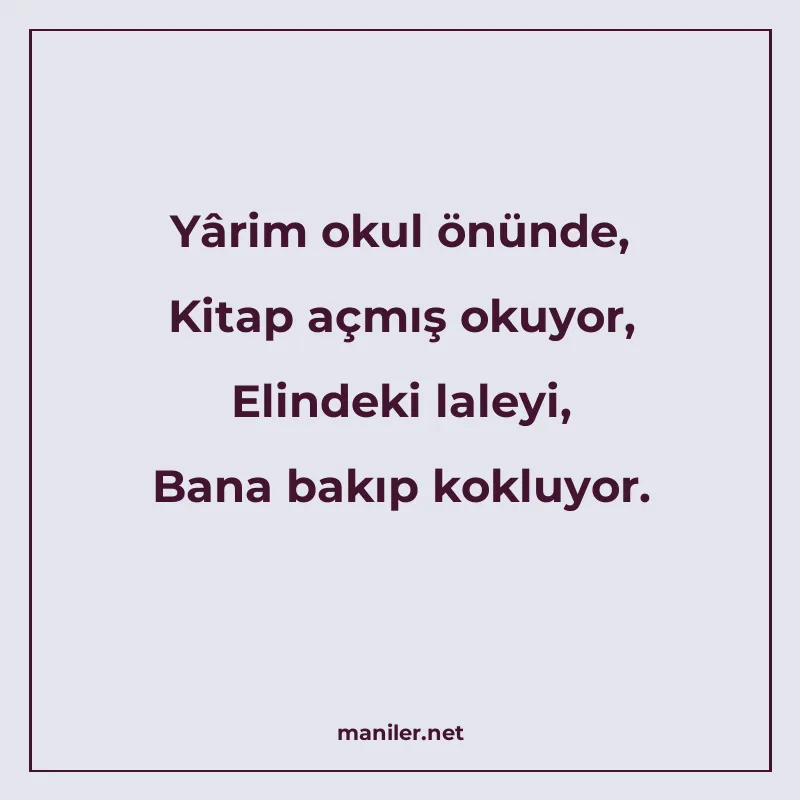 Yârim okul önünde, Kitap açmış okuyor, Elindeki laleyi, Bana manisi görseli