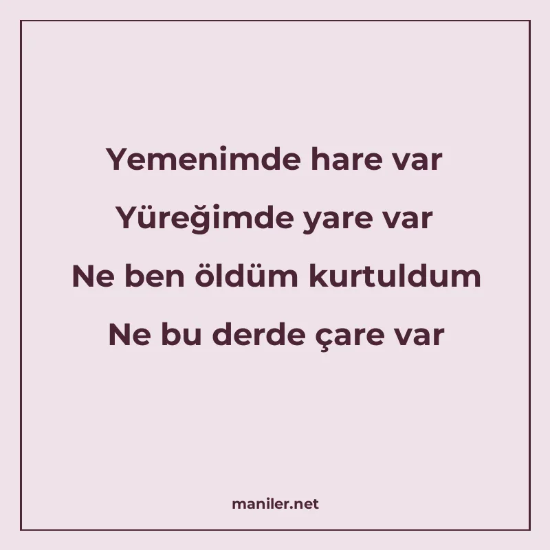 Yemenimde hare var Yüreğimde yare var Ne ben öldüm kurtuldum manisi görseli