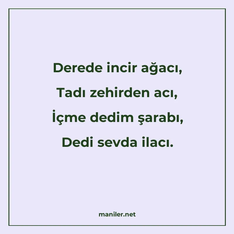 Derede incir ağacı, Tadı zehirden acı, İçme dedim şarabı, De manisi görseli