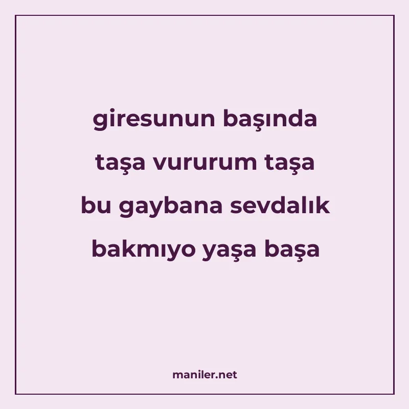 giresunun başında taşa vururum taşa bu gaybana sevdalık bakm manisi görseli