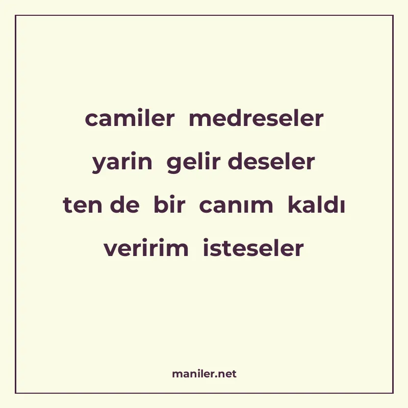 camiler medreseler yarin gelir deseler ten de bir canım kald manisi görseli