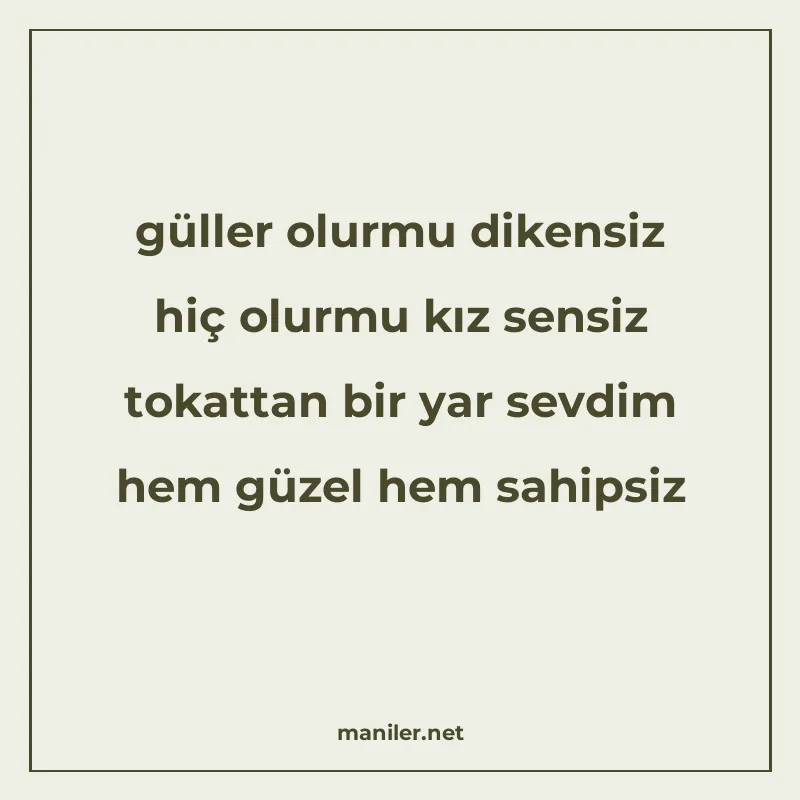 güller olurmu dikensiz hiç olurmu kız sensiz tokattan bir ya manisi görseli