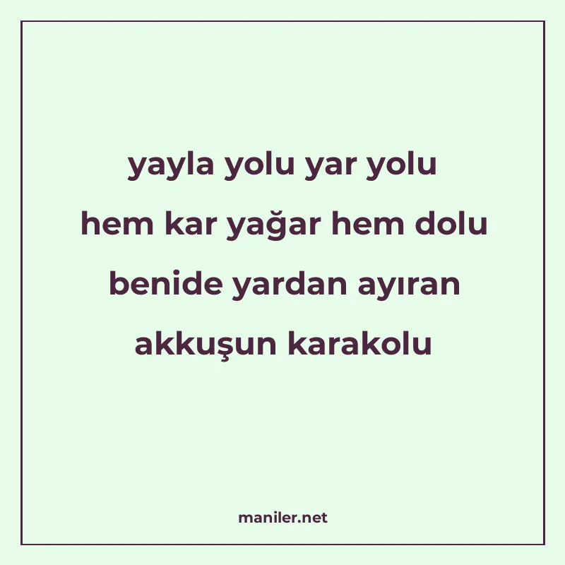 yayla yolu yar yolu hem kar yağar hem dolu benide yardan ayı manisi görseli