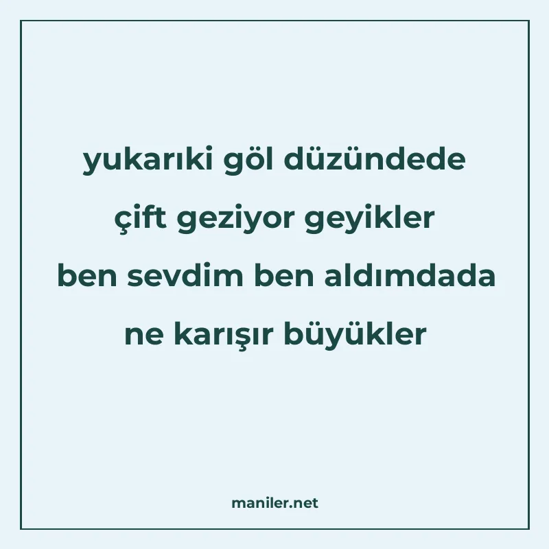 yukarıki göl düzündede çift geziyor geyikler ben sevdim ben manisi görseli