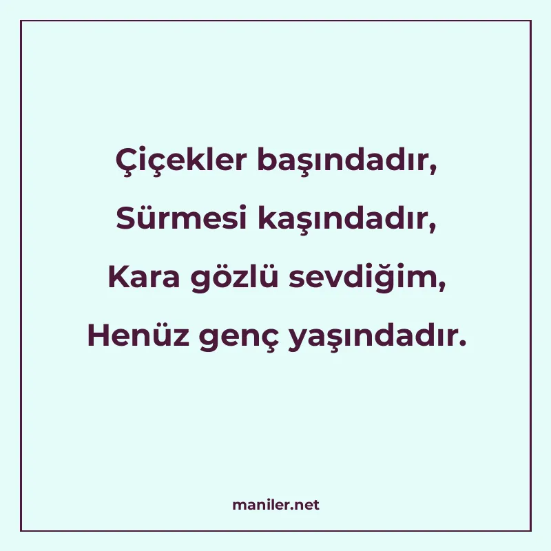 Çiçekler başındadır, Sürmesi kaşındadır, Kara gözlü sevdiğim manisi görseli