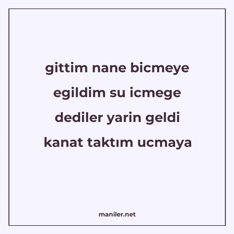 gittim nane bicmeye egildim su icmege dediler yarin geldi ka manisi görseli