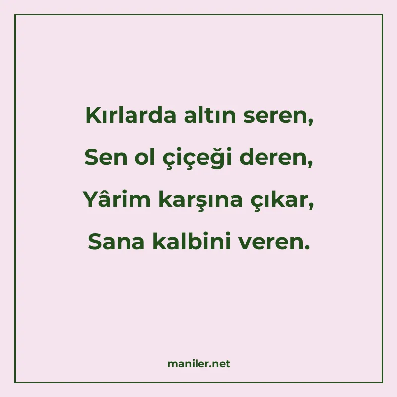 Kırlarda altın seren, Sen ol çiçeği deren, Yârim karşına çık manisi görseli