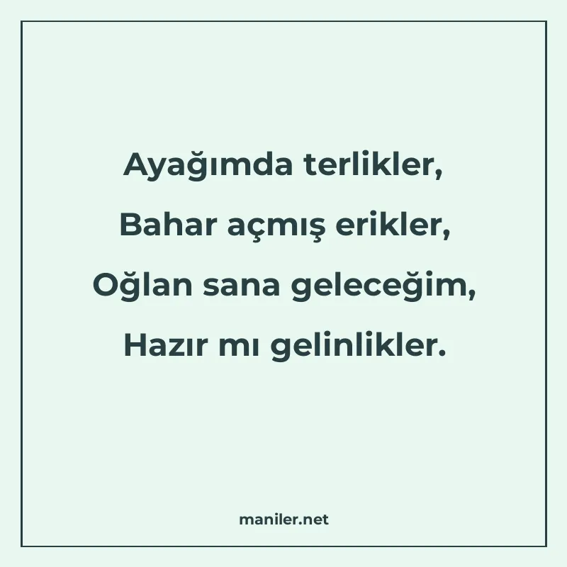 Ayağımda terlikler, Bahar açmış erikler, Oğlan sana geleceği manisi görseli