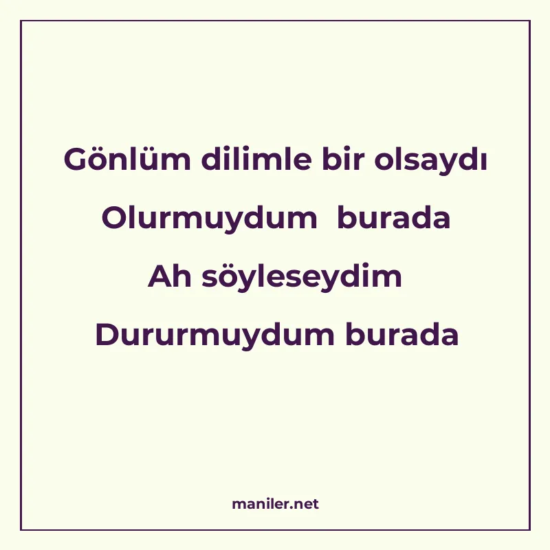 Gönlüm dilimle bir olsaydı Olurmuydum burada Ah söyleseydim manisi görseli