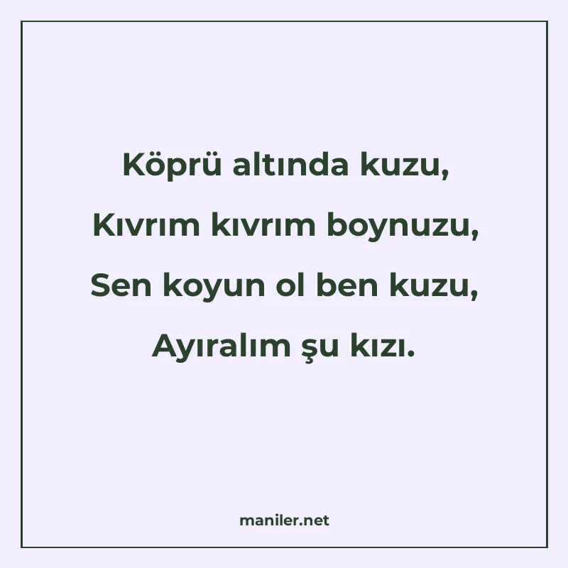 Köprü altında kuzu, Kıvrım kıvrım boynuzu, Sen koyun ol ben manisi görseli