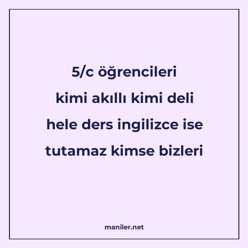 5/c öğrencileri kimi akıllı kimi deli hele ders ingilizce is manisi görseli