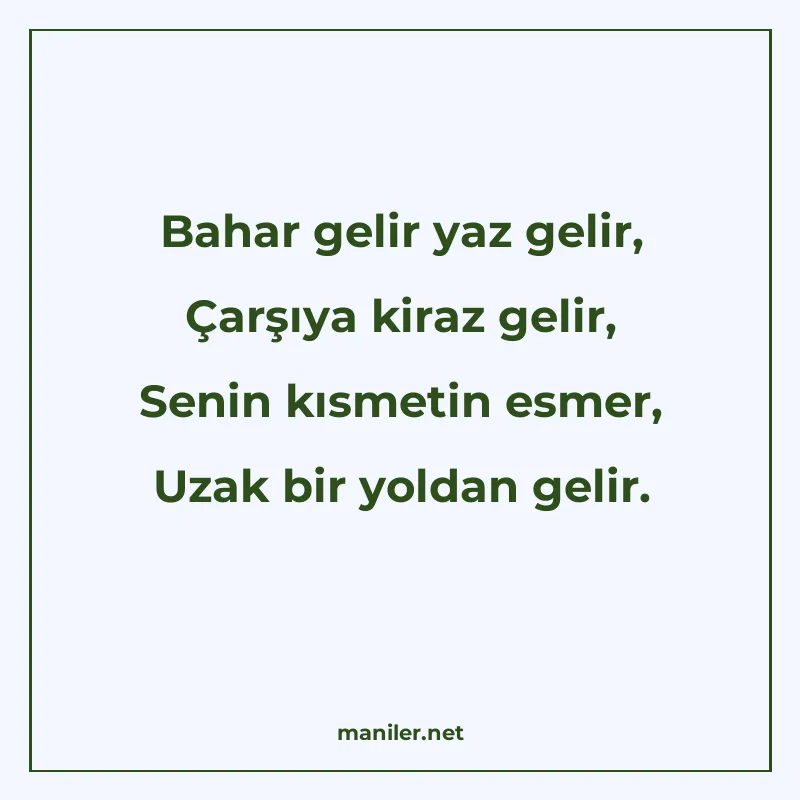 Bahar gelir yaz gelir, Çarşıya kiraz gelir, Senin kısmetin e manisi görseli