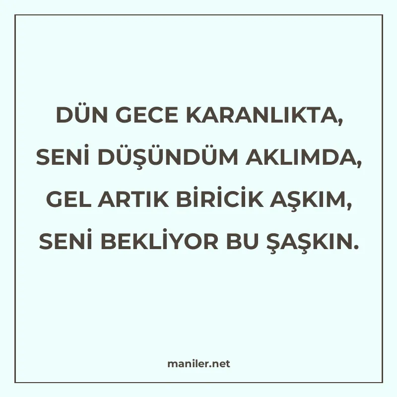 DÜN GECE KARANLIKTA, SENİ DÜŞÜNDÜM AKLIMDA, GEL ARTIK BİRİCİ manisi görseli