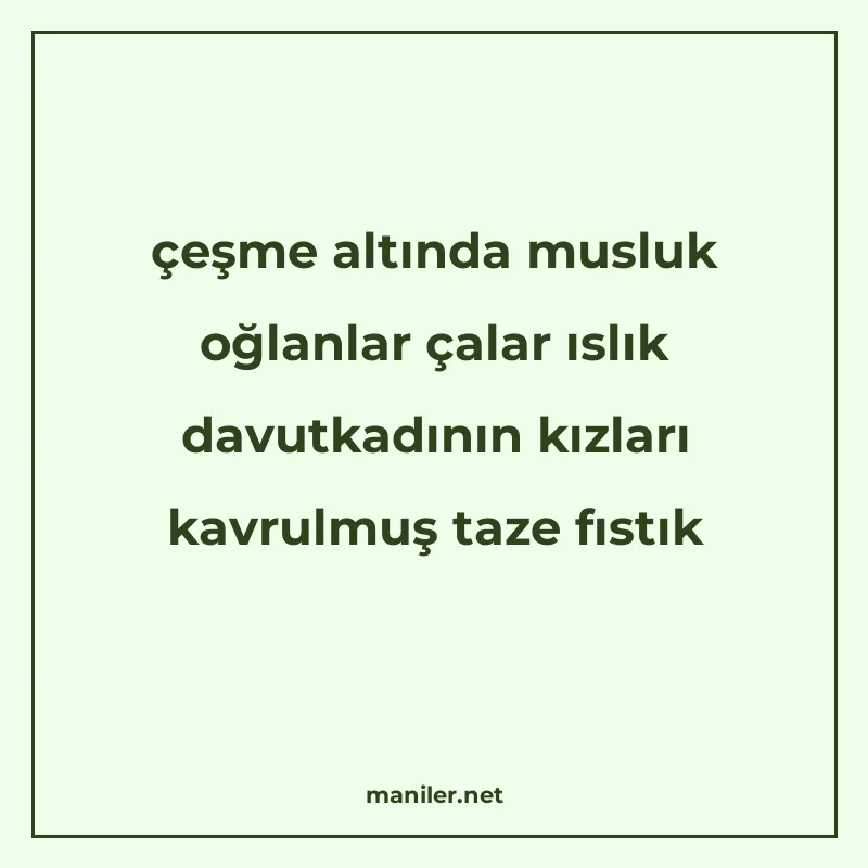 çeşme altında musluk oğlanlar çalar ıslık davutkadının kızla manisi görseli
