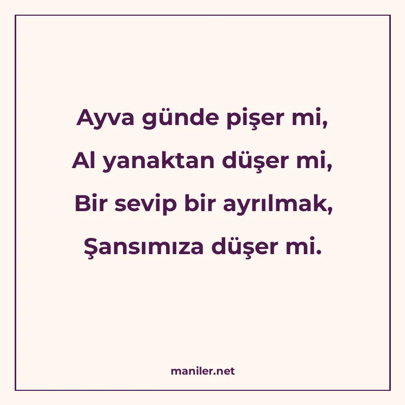 Ayva günde pişer mi, Al yanaktan düşer mi, Bir sevip bir ayr manisi görseli