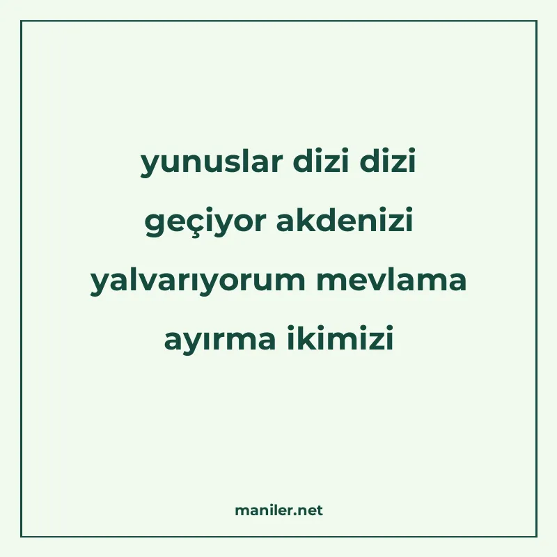 yunuslar dizi dizi geçiyor akdenizi yalvarıyorum mevlama ayı manisi görseli
