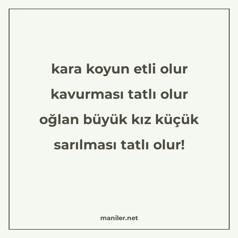kara koyun etli olur kavurması tatlı olur oğlan büyük kız kü manisi görseli
