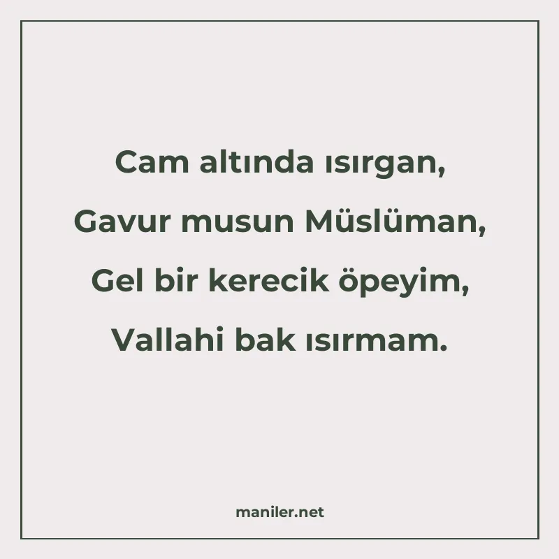 Cam altında ısırgan, Gavur musun Müslüman, Gel bir kerecik ö manisi görseli